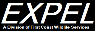 EXPEL SOLUTIONS LOGO